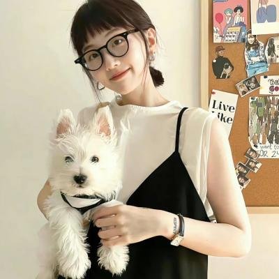 红犬历险记